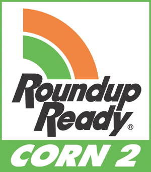 RR2